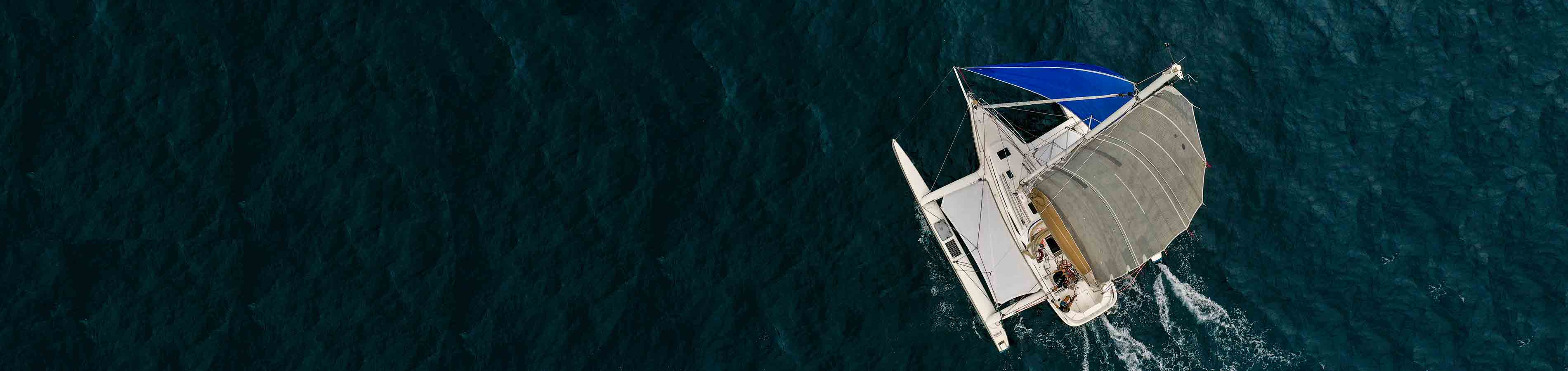 SailEazy, voilier en libre-service. Le Trimaran, tricat 30 qui se nomme breva navigue vers le bas droit de l'écran. Il est vu de haut en contre plongé. Il a une grand voile blanche, un spinnaker blanc et les flotteur déplié sont aussi blanc avec saileazy floqué dessus. La mer est bleu foncé et assez calme.