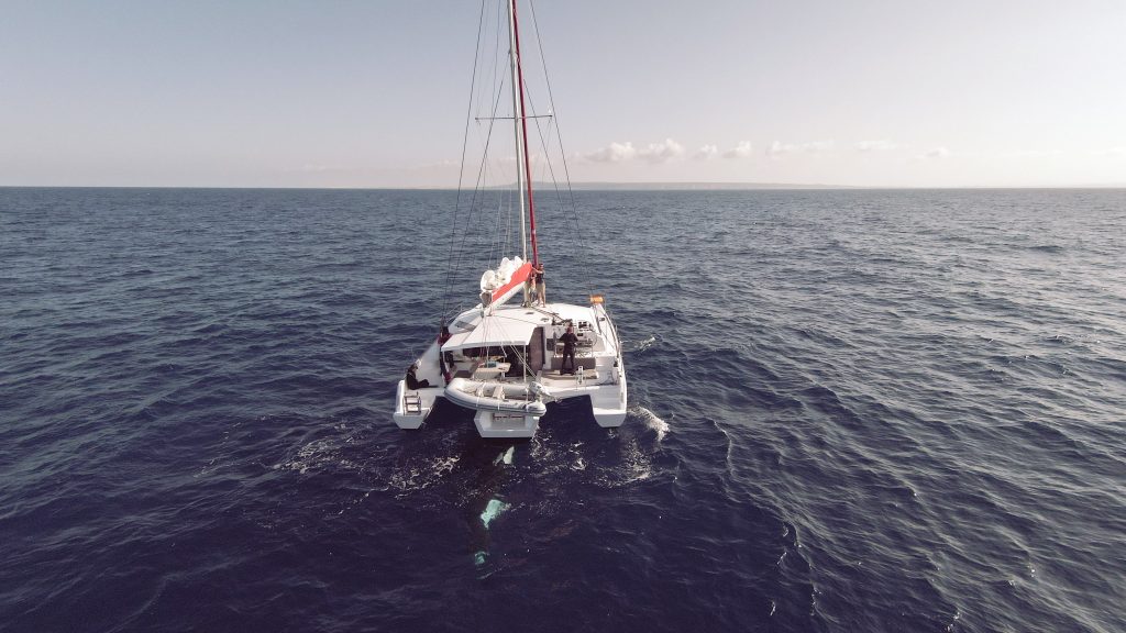 DJI 0059 1024x576 - Méditerranée : Des navigateurs marseillais subissent une attaque d’orques à Gibraltar (20 minutes, Juin 2023)